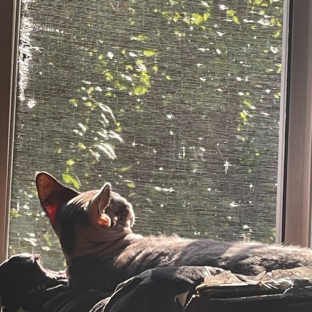 Meet your Posher, Tania